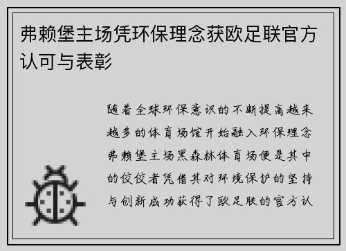 弗赖堡主场凭环保理念获欧足联官方认可与表彰